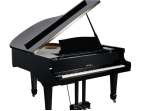 Цифровой рояль Medeli GP805