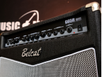 Гитарный комбоусилитель Belcat G65R