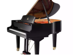Акустический рояль Wendl & Lung W162 BK - чёрный