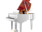 Акустический рояль Wendl & Lung W162 WH - белый