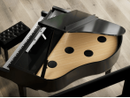 Цифровой рояль Roland GP-9 PE