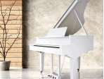 Цифровой рояль Roland GP-9 PW