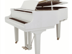 Рояль акустический кабинетный Yamaha C1X PWH  - белый полированный