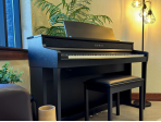 Цифровое пианино Kawai CA-501 B | CA501