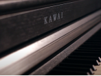 Цифровое пианино Kawai CA-501 R