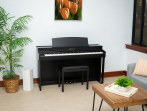 Цифровое пианино Kawai CN-301 R | CN301