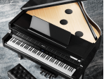Самоиграющий цифровой рояль Roland GP-9M PE