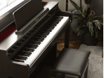 Цифровое пианино Casio Celviano AP-550 BN - коричневый