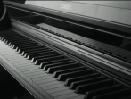 Цифровое пианино Casio Celviano AP-550 BN - коричневый