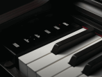 Цифровое пианино Casio Celviano AP-550 BN - коричневый