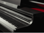 Цифровое пианино Casio Celviano AP-550 BN - коричневый