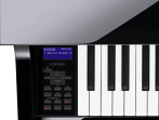 Цифровое пианино Casio Grand Hybrid GP-510 BP