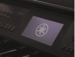 Цифровое пианино Yamaha Clavinova CVP-905 B - чёрный