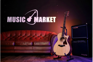 Электроакустическая гитара Taylor 312ce V-Class