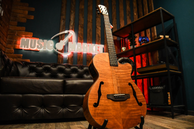 Электроакустика ARIA FET-F2 STBR