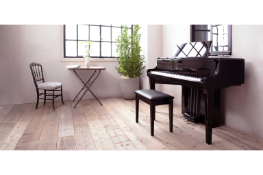 Цифровой рояль Kawai Novus NV-10S | NV10S