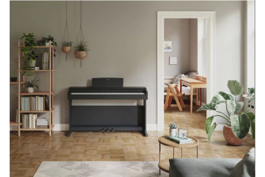 Цифровое пианино Yamaha YDP-165 B Arius