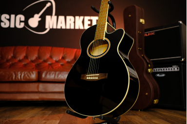 Гитара Homage Общее