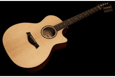 Электроакустическая гитара Taylor Custom GA-9