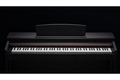 Цифровое пианино Antares W-380 BR