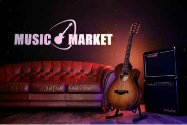 Двенадцатиструнная гитара с подключением Taylor Builders Edition 652ce WHB