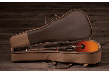 Электроакустическая гитара Taylor GS Mini-e Special Edition SF