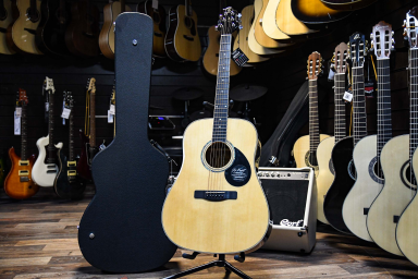 Акустическая гитара Greg Bennett GD100S/N