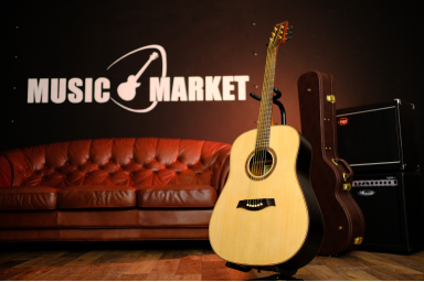 Акустическая гитара Martinez SW - 12 / NM