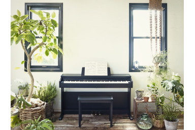 Цифровое фортепиано Casio Celviano AP-270BK