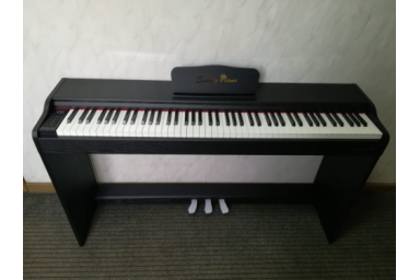 Цифровое фортепиано Emily Piano D-51 BK