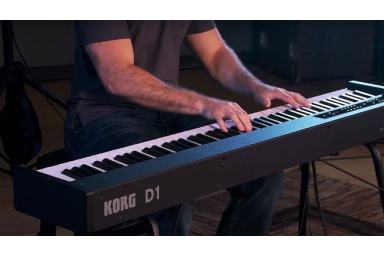 Цифровое пианино KORG D1 BK