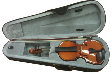 Скрипка Fleet FLT-VP1/8