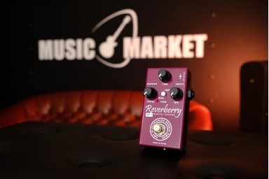 Цифровой ревербератор AMT Electronics  Reverberry RY-1