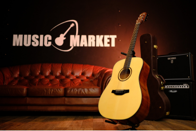 Гитара акустическая CRAFTER HD-250 /N