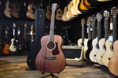 Акустическая гитара Cort Luce Series L450C-NS