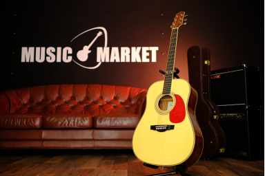 Акустическая гитара Naranda DG303NA