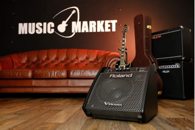 Сценический монитор ROLAND PM-100