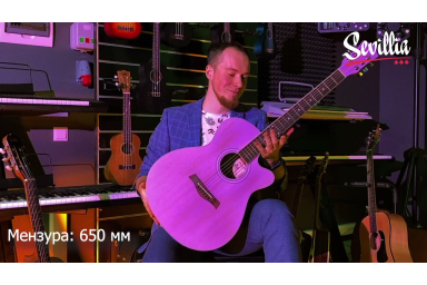 Гитара акустическая Sevillia IWC-235 MTP