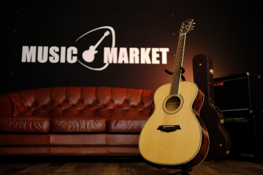 Акустическая гитара Parkwood P620