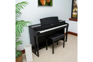 Цифровое пианино Kawai CN-301 R | CN301