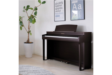 Цифровое пианино Kawai CA-501 R | CA501