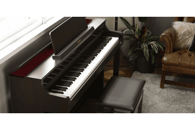 Цифровое пианино Casio Celviano AP-550 BN - коричневый