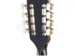 Бузуки Thomann Irish Bouzouki M1089 BK