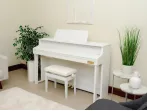 Цифровое пианино Casio Celviano Grand Hybrid GP310 | GP-310 WE