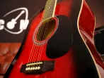 Акустическая гитара Martinez FAW - 702 / TWRS