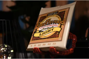 Струны для акустической гитары ERNIE BALL 2004 Earthwood 80/20 Bronze Light 11-52