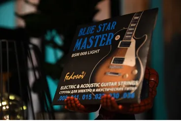 Комплект струн для электрогитары, нерж. сплав, 8-38, Fedosov Blue Star Master Light BSM008