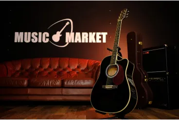 Акустическая гитара Naranda TG220CBK
