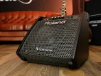 Сценический монитор ROLAND PM-100