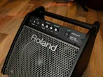 Сценический монитор ROLAND PM-100